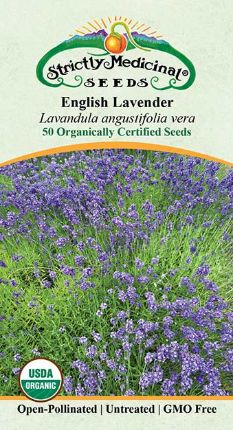 Lavender, English (Lavandula angustifolia vera) Organic Seeds