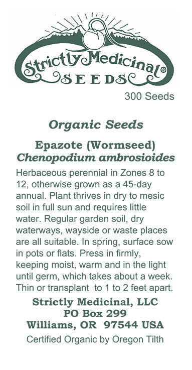 Epazote (Chenopodium ambrosioides) Organic Seeds