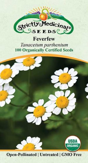 Feverfew (Tanacetum Parthenium) Organic Seeds