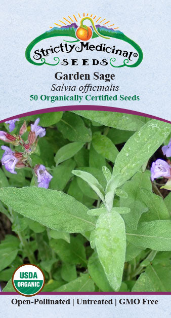 Sage, Garden (Salvia officinalis) Organic Seeds