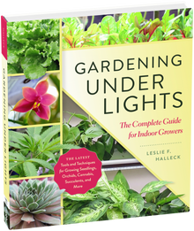 Gardening Under Lights