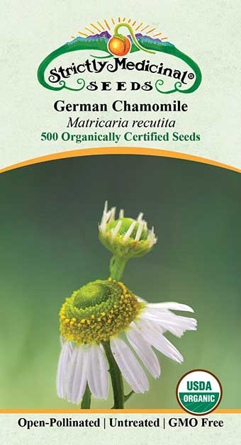 Chamomile, German (Matricaria recutita) Organic Seeds