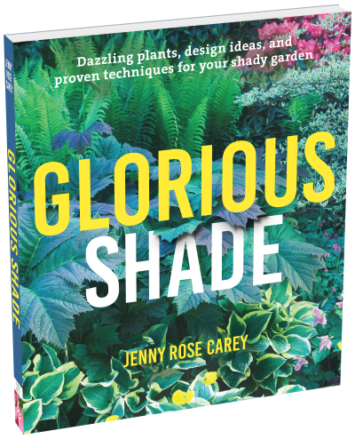 Glorious Shade