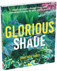 Glorious Shade