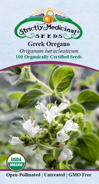 Oregano, Greek (Origanum heracleoticum) Organic Seeds