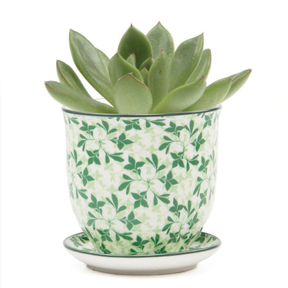 Small Liberte Pot & Saucer