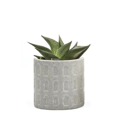 Stagma Pot