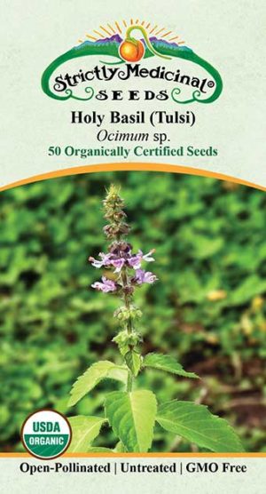 Holy Basil Tulsi (Ocimum Africanum) Organic Seeds