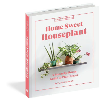Home Sweet Houseplant