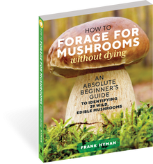 How to Forage For Mushrooms Without Dying