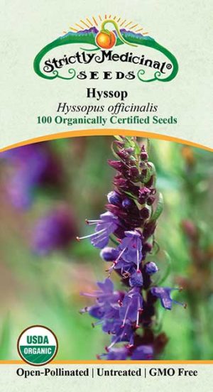 Hyssop (Hyssopus Officinalis) Organic Seeds