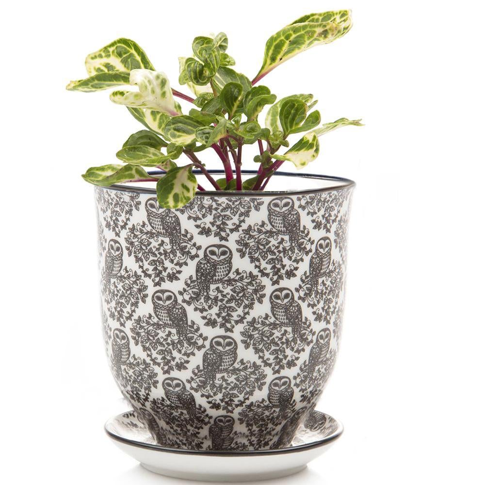 Big Liberte 3 Pot & Saucer