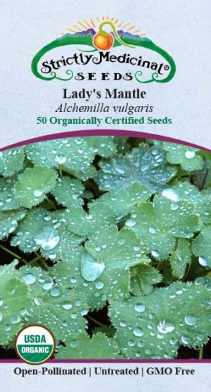 Lady’s Mantle (Alchemilla Vulgaris) Organic Seeds