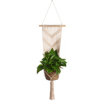Primitive Planters Large Wall Planter V Design