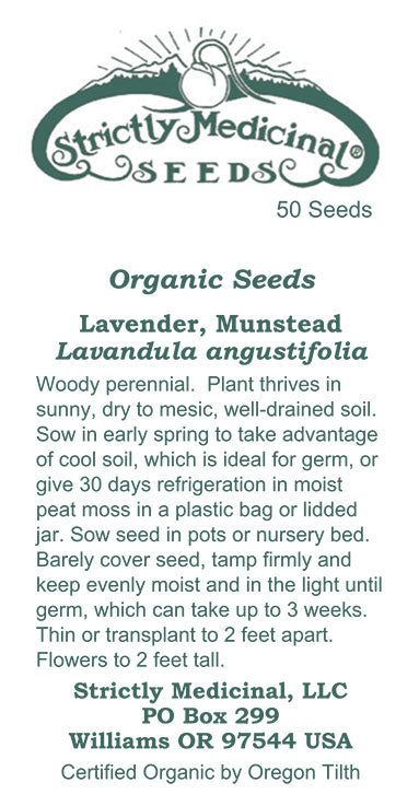 Lavender, Munstead (Lavandula angustifolia) Organic Seeds