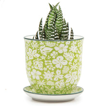 Small Liberte Pot & Saucer