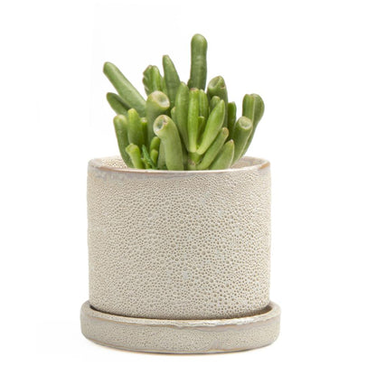 Small Minute Pot & Saucer