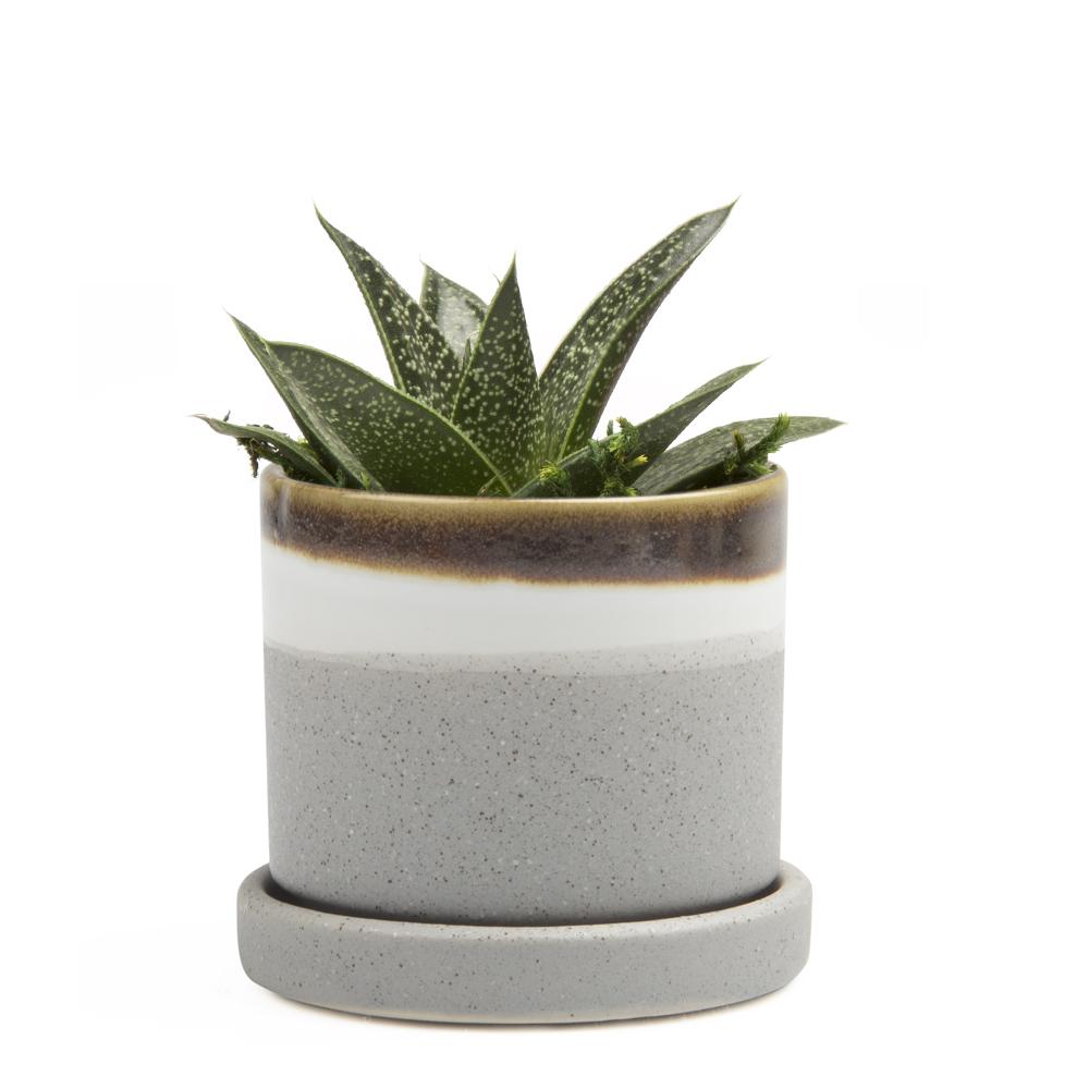 Small Minute Pot & Saucer
