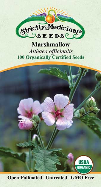 Marshmallow (Althaea Officinalis) Organic Seeds