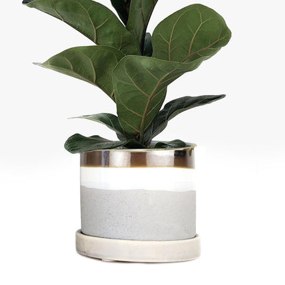 Big Minute Pot & Saucer