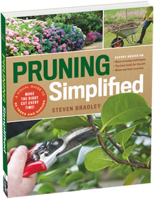 Pruning Simplified