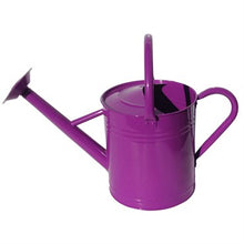 Gardener Select Watering Can - Purple