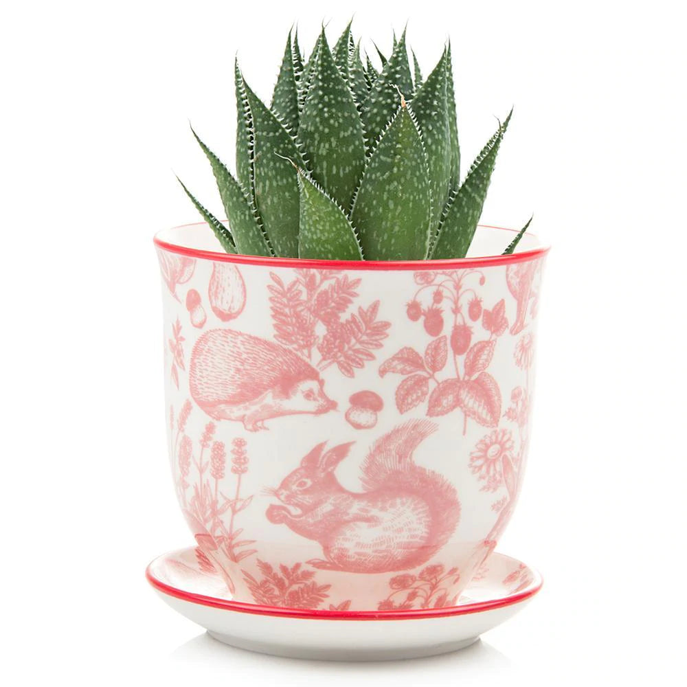 Small Liberte Pot & Saucer