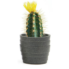Stagma Pot