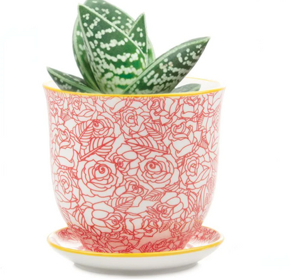 Small Liberte Pot & Saucer