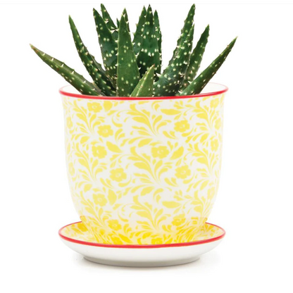 Small Liberte Pot & Saucer