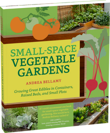 Small-Space Vegetable Gardens