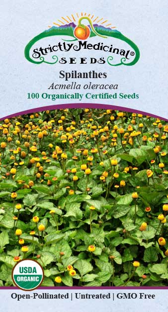 Spilanthes (Acmella oleracea) Organic Seeds