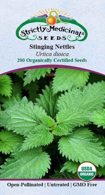 Stinging Nettles (Urtica dioica) Organic Seeds