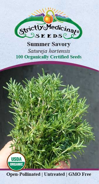Summer Savory (Satureja hortensis) Organic Seeds