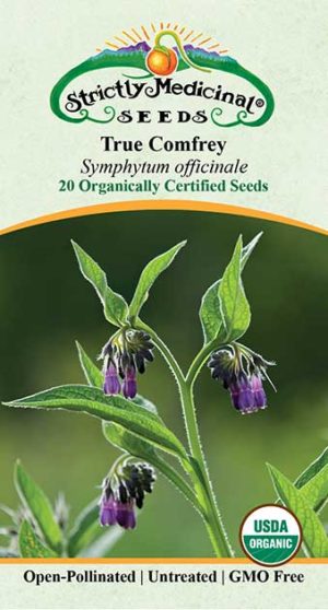 True Comfrey (Symphytum Officinale Var Patens) Organic Seeds