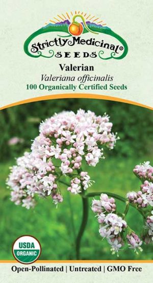 Valerian (Valeriana Officinalis) Organic Seeds