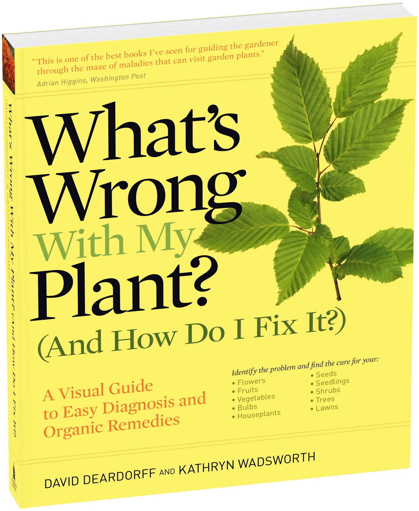 What's Wrong With My Plant? (And How Do I Fix It?)