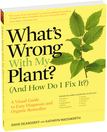 What's Wrong With My Plant? (And How Do I Fix It?)