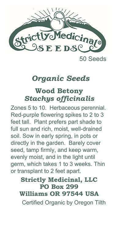 Wood Betony (Stachys officinalis) Organic Seeds