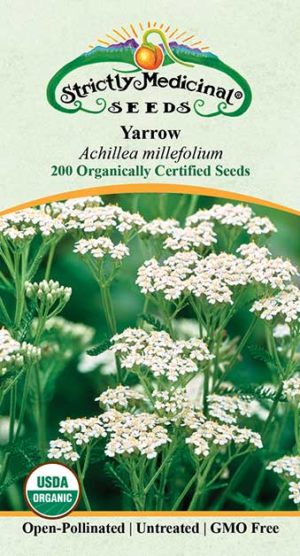Yarrow (Achillea Millefolium) Organic Seeds