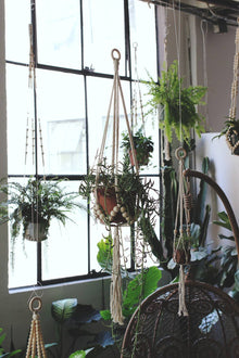 Beaded Plant Hanger - 36 Inch
