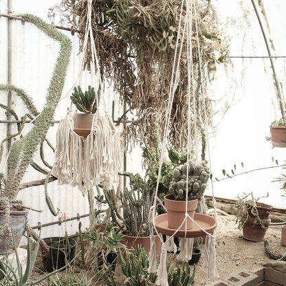 Fringed Macrame Plant Hanger - 37 Inch