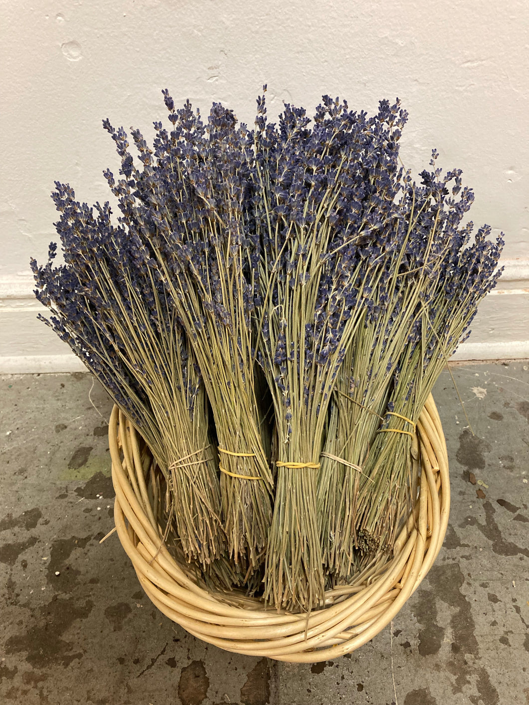 Lavender Bunch Dried