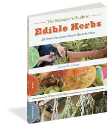 Beginner's Guide to Edible Herbs