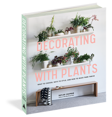 Decorating With Plants