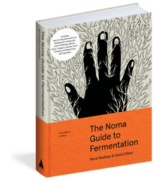 Noma Guide to Fermentation