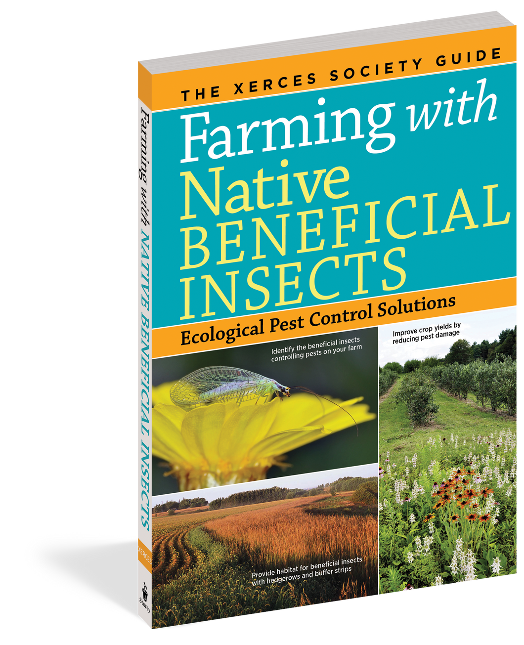 Farming With Native Beneficial Insects