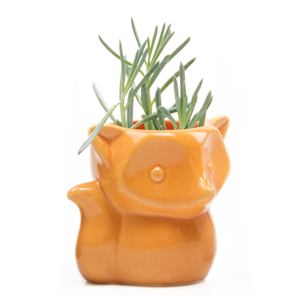 Fox Planter