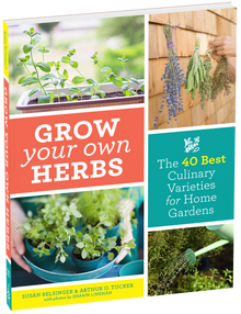 Grow Your Own Herbs