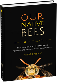 Our Native Bees